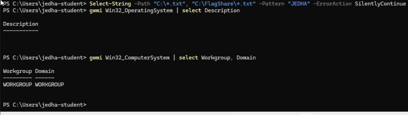 Capture d'un terminal PowerShell pendant l'analyse