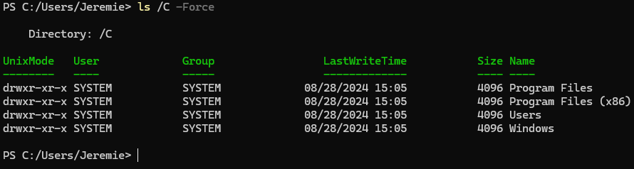 Capture d'une console montrant un listing du disque C