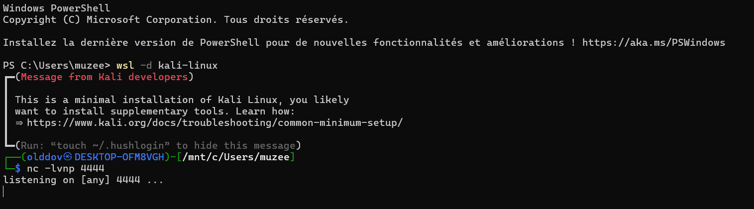 Capture d'écran d'un environnement PowerShell et WSL avec service HTTP
